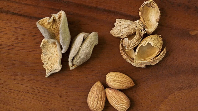 almond hulls shells and whole almonds